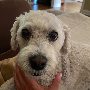 Meet your Posher, Rica